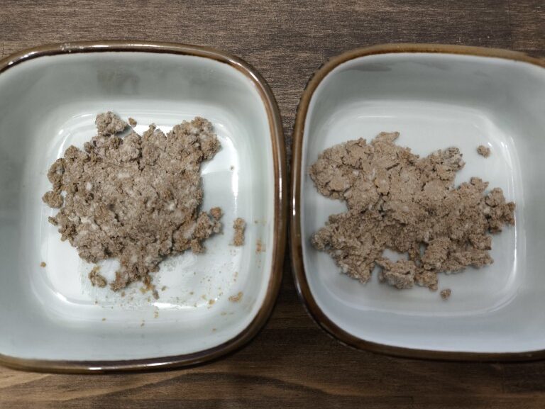 左はフォトンビームを照射していないぬか漬けでカビがたくさん生えている。一方で右のフォトンビームを照射したぬか漬けは白カビが少ない。