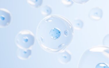 ミトコンドリアとは？役割・健康への影響・最新研究をわかりやすく解説